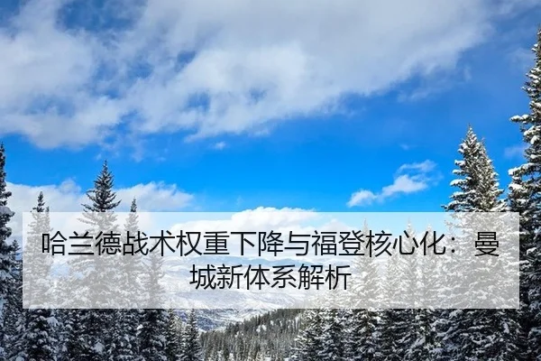 ha-lan-de-zhan-shu-quan-zhong-xia-jiang-yu-fu-deng-he-xin-hua-man-cheng-xin-ti-xi-jie-xi-2-604.jpg